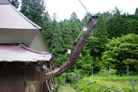 空き家調査 in 雲洞谷(うとだに)