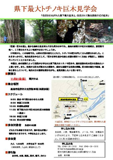 県下最大のトチノキ巨木見学会