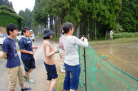 田植え