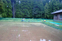 田植え