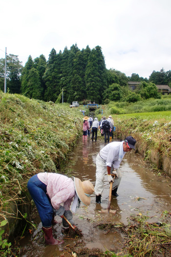 中野集落 川掃除