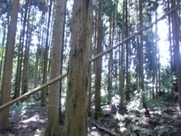 第一回セルフビルド塾 その1