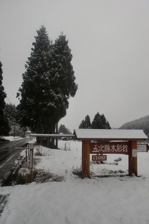 年末、年始は朽木へ行ってきました!