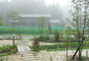 雨の風結い