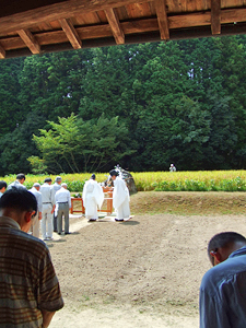 麦の家 抜穂祭