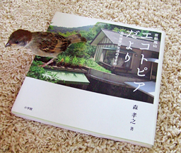 田舎暮らしフェスタに登場する人たち