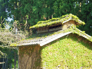 里山