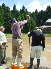 代掻きと田植え体験 開催しました!