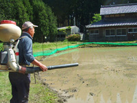 代掻きと田植え体験 開催しました!