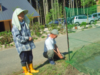 代掻きと田植え体験 開催しました!