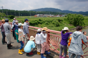 ちまきづくり体験① 熊笹・いぐさ採り