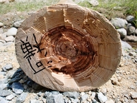 第二回セルフビルド塾 その2