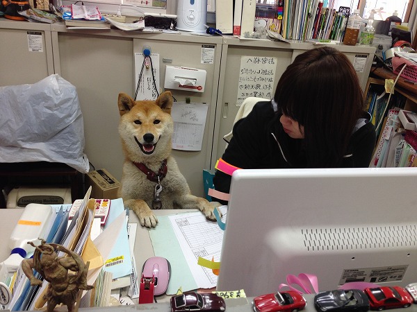 小さな小さなお客様 小さな小さなお客様