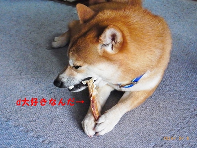 大好き1