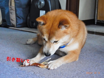 daisuki 2
