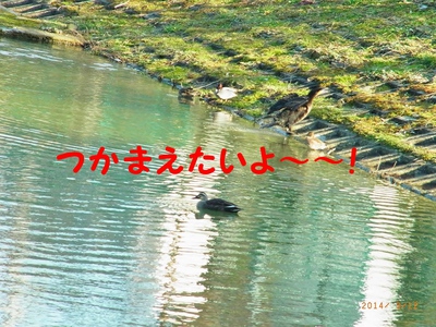 3/15 2