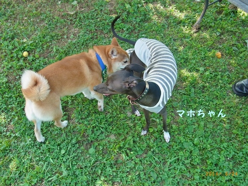 エェ~~ン エェ~~ン