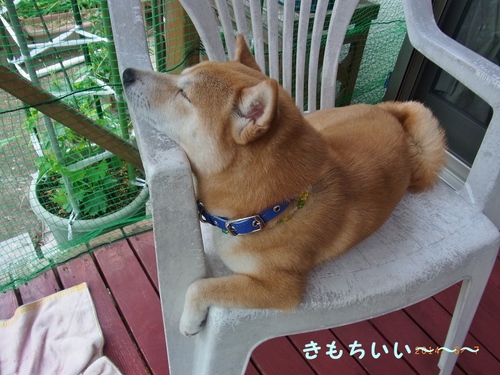誕生日 誕生日