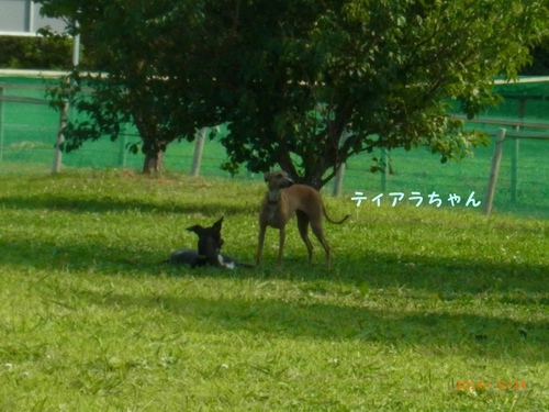 エェ~~ン エェ~~ン