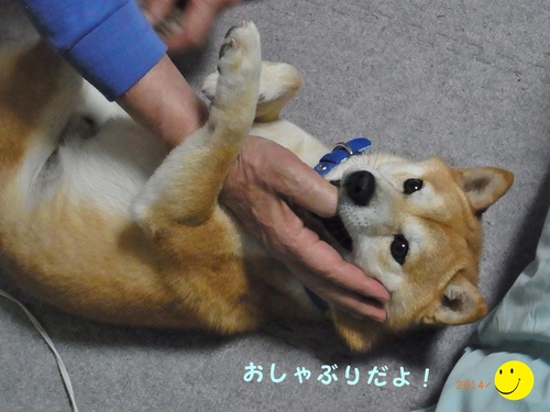 誕生日 誕生日