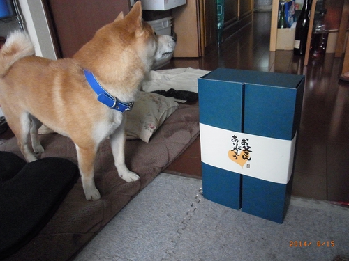 閉まってた 閉まってた
