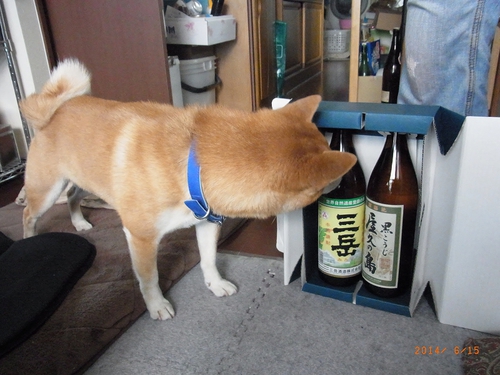 閉まってた 閉まってた
