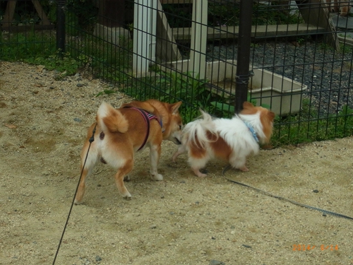 閉まってた 閉まってた