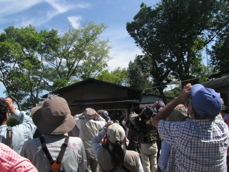 うれしい奇跡の連続!「猪子山探検隊~タカの渡り~」を開催しました! うれしい奇跡の連続!「猪子山探検隊~タカの渡り~」を開催しました!