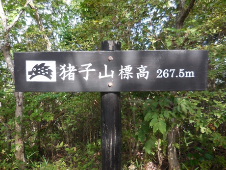うれしい奇跡の連続!「猪子山探検隊~タカの渡り~」を開催しました! うれしい奇跡の連続!「猪子山探検隊~タカの渡り~」を開催しました!
