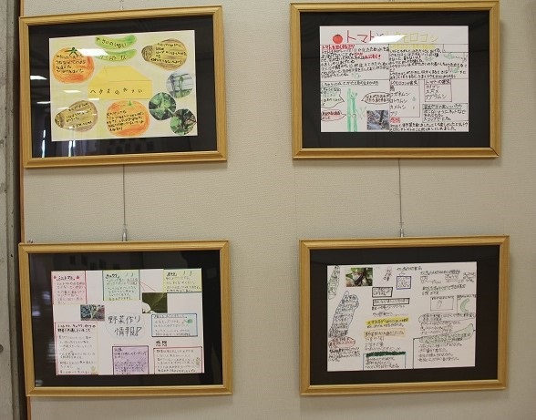 「能登川北小学校6年生 野菜作り研究所~夏野菜を作ろうレポート展」を開催しています 「能登川北小学校6年生 野菜作り研究所~夏野菜を作ろうレポート展」を開催しています