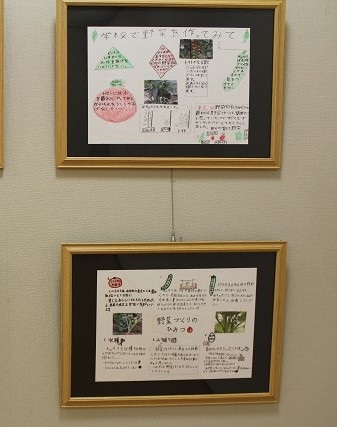「能登川北小学校6年生 野菜作り研究所~夏野菜を作ろうレポート展」を開催しています 「能登川北小学校6年生 野菜作り研究所~夏野菜を作ろうレポート展」を開催しています