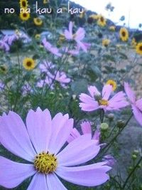 ゆる~くおんぶ・・・♪