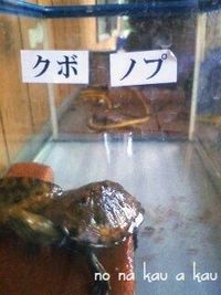 ゆる~く・・・ん???