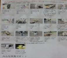いわきNO3、沢山のボランティア