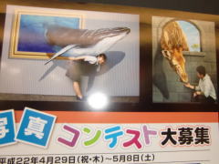 トリックアート展