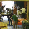 5月16日、17日に「かんじる比良2015」が開催されました。 5月16日、17日に「かんじる比良2015」が開催されました。