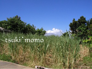 6月ですね