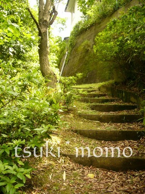 わき道の階段のその先は
