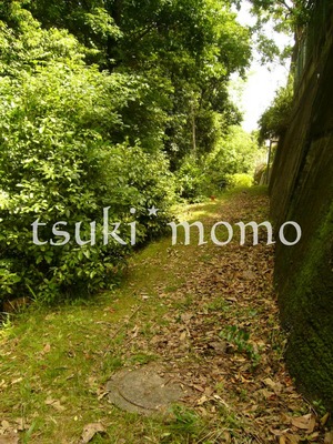 わき道の階段のその先は