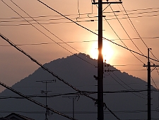 写真拡大