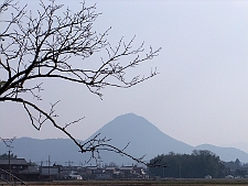 写真拡大