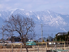 写真拡大