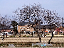 写真拡大