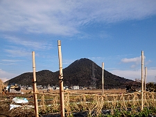 写真拡大