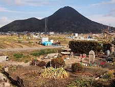 写真拡大