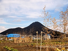 写真拡大