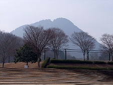 写真拡大