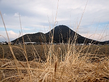 写真拡大
