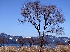 写真拡大