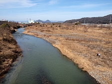 写真拡大